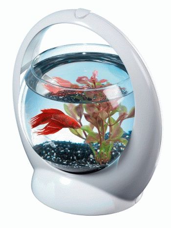 Betta Ring белый аквариум-шар с освещением LED - 4