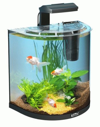 AquaArt Goldfish 30 л - аквариумный комплекс ”Полумесяц” - 4