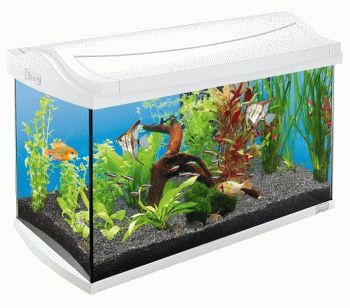 AquaArt LED Tropical аквариумный комплекс 60 л с LED освещением, белый - 4