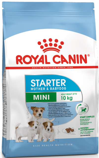 Royal Canin MINI STARTER Сухой корм для щенков до 2-х месяцев, беременных и кормящих сук - 6