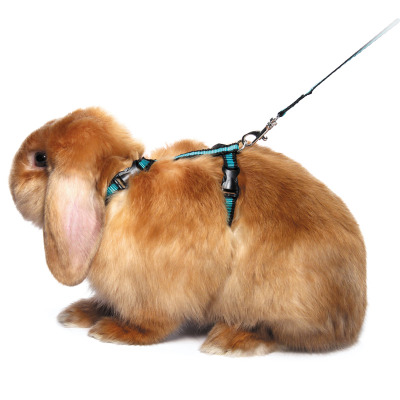 Комплект шлейка и поводок для кролика из капрона ”Мегаполис” - 4