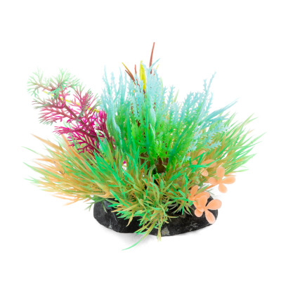 Композиция из светящихся растений, бордово-бирюзовая Laguna AQUA - 5