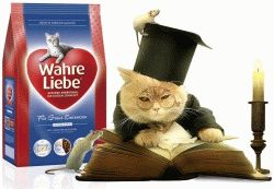 Wahre Liebe Altere Корм для стареющих кошек
