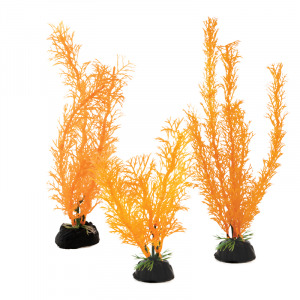 Растения ”Амбулия” (набор 3шт) солнечно-оранжевая Laguna AQUA