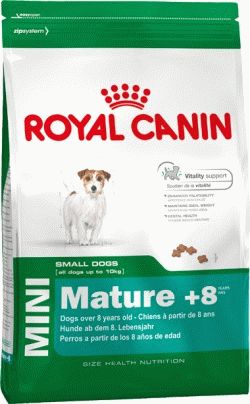 Royal Canin MINI ADULT 8+ Сухой корм для стареющих собак с 8 до 12 лет