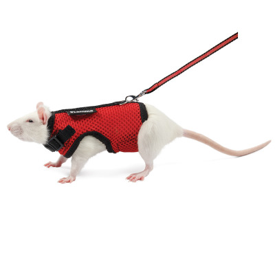 Комплект шлейка и поводок для крысы ”Лариска” - 4