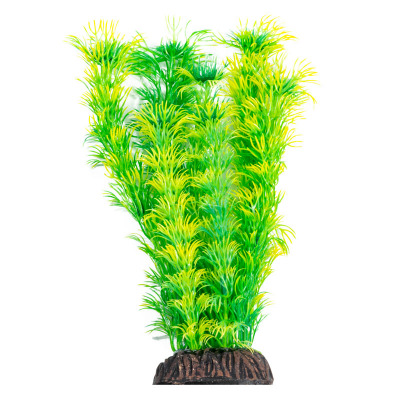 Растение ”Амбулия” жёлто-зеленая Laguna AQUA - 5