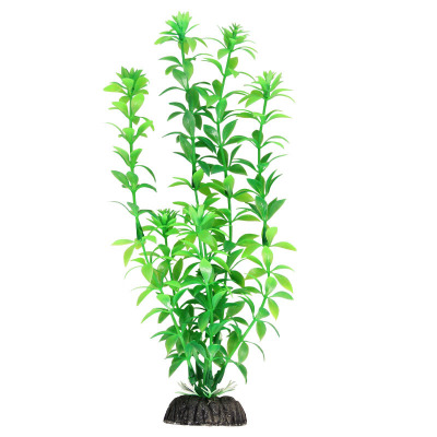 Растение ”Гемиантус” зеленый Laguna AQUA - 5