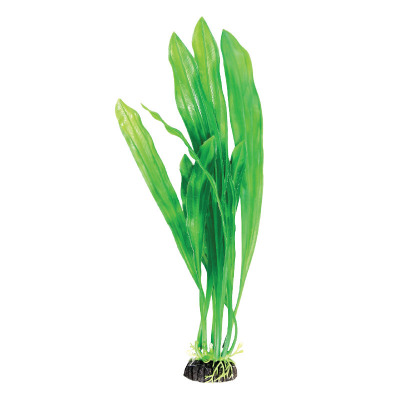 Растение ”Эхинодорус” Laguna AQUA - 5