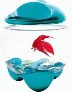 Betta Bubble аквариум-шар для петушков с освещением 1,8 - уменьшенная 1