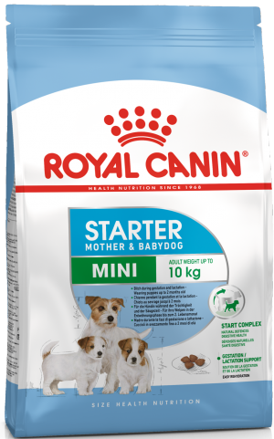 Royal Canin MINI STARTER Сухой корм для щенков до 2-х месяцев, беременных и кормящих сук