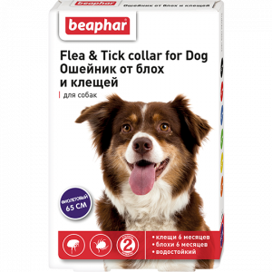 Beaphar Ошейник Flea & Tick collar for Dog от блох и клещей для собак фиолетовый