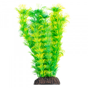 Растение ”Амбулия” жёлто-зеленая Laguna AQUA