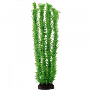 Растение ”Амбулия” зеленая Laguna AQUA - уменьшенная 1