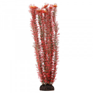 Растение ”Амбулия” красная Laguna AQUA - уменьшенная 2
